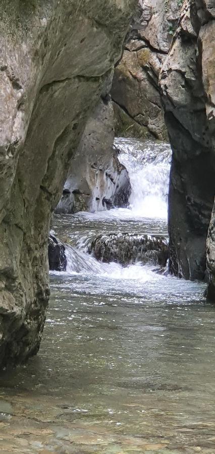 فندق Rural L'Ortiga Blanca كيرالبس المظهر الخارجي الصورة