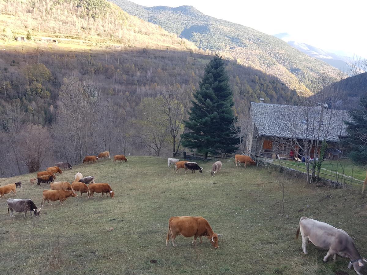 فندق Rural L'Ortiga Blanca كيرالبس المظهر الخارجي الصورة